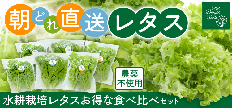 水耕栽培レタスお得な食べ比べセット