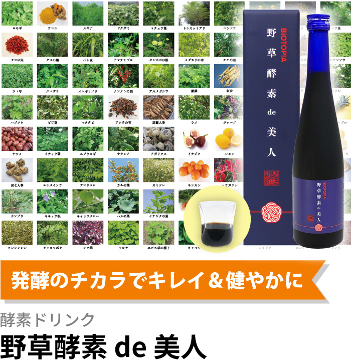 発酵のチカラでキレイ＆健やかに 酵素ドリンク 野草酵素 de 美人