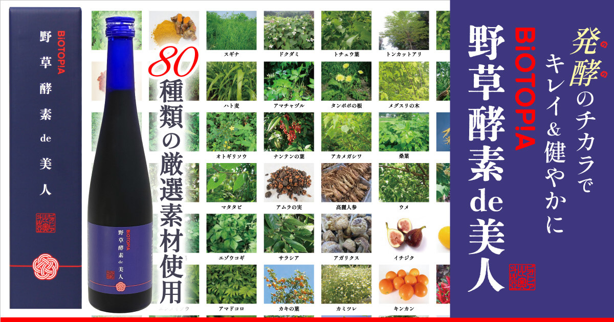 野草酵素 de 美人(酵素ドリンク)
