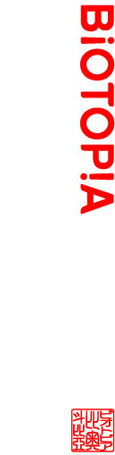 野草酵素 de 美人