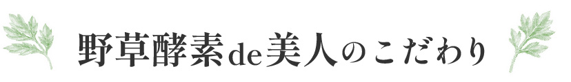 野草酵素 de 美人のこだわり