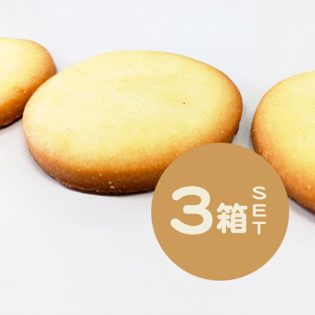 BiSLOW ビスロー3箱セット