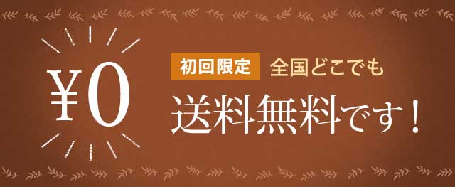 初回限定　全国どこでも送料無料です！